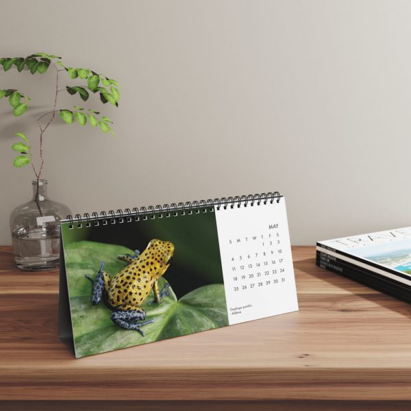 Desktop calendar on a shelf