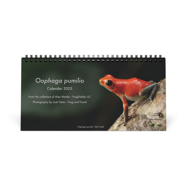 Oophaga pumilio 2025 Desktop Calendar