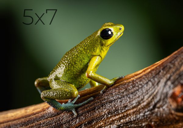 5x7