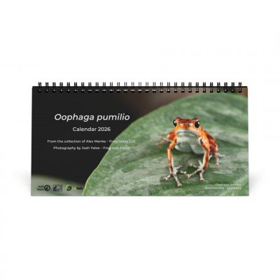 Oophaga pumilio 2026 Desktop Calendar