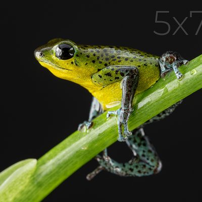 5x7