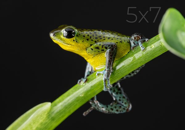 5x7