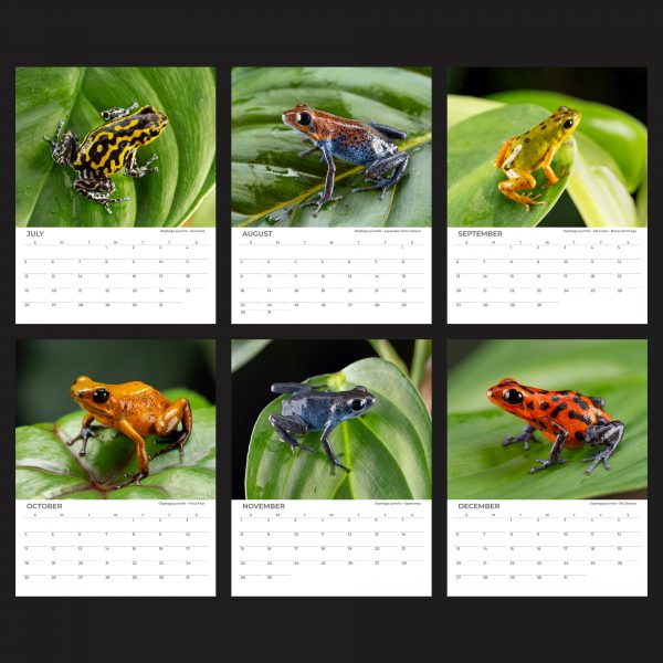 8.5x11" Wall Calendar 2026 July - December