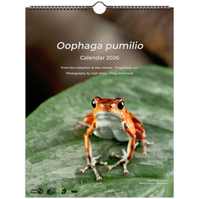 Oophaga pumilio Wall Calendar 2026 8.5x11" Letter Size