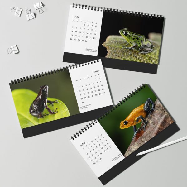 Desktop Calendar 2026 April - June