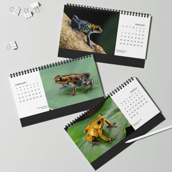Desktop Calendar 2026 January - March