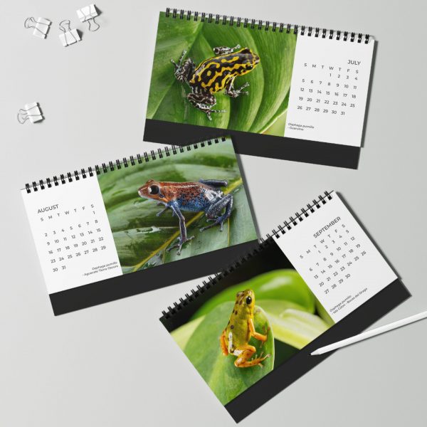 Desktop Calendar 2026 July - September