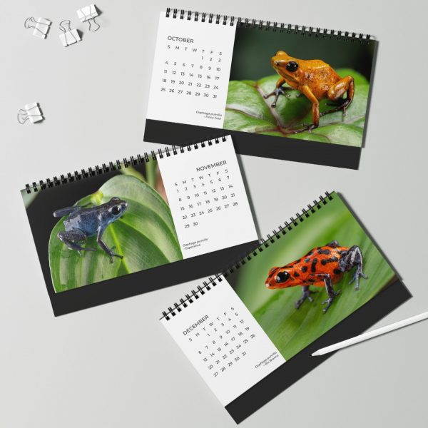 Desktop Calendar 2026 October to December