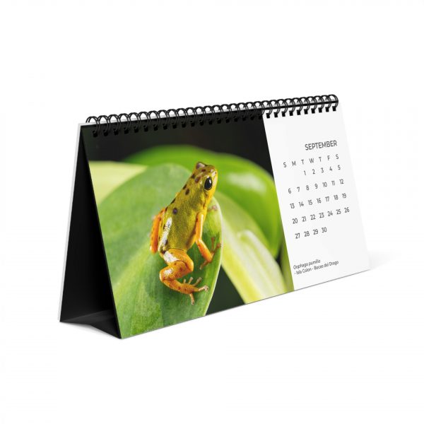 Desktop Calendar 2026 side view
