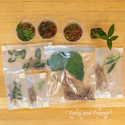 Plant Package B
