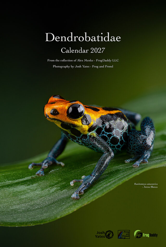 2027 Calendar Cover Photo 16.5x11